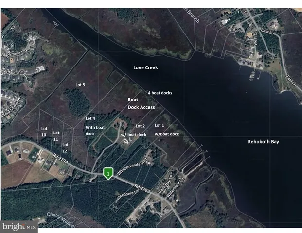 a view of a large body of water with lots of trees in all around