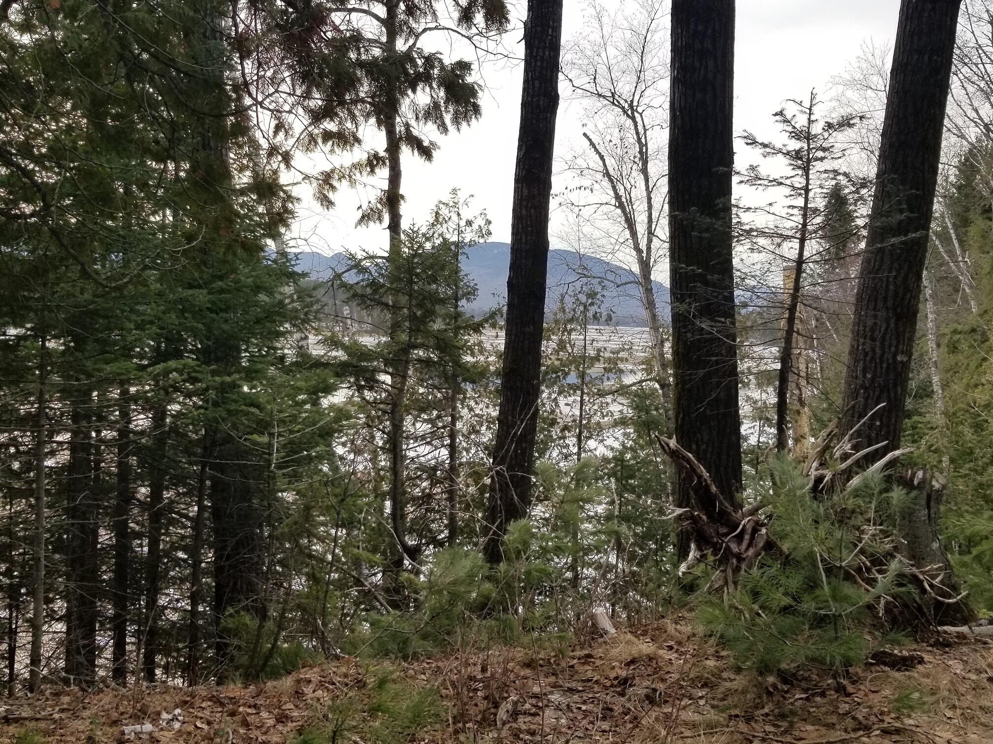 999 Arnold Trail Road Eustis, ME 04936 - Photo 17 of 19 View