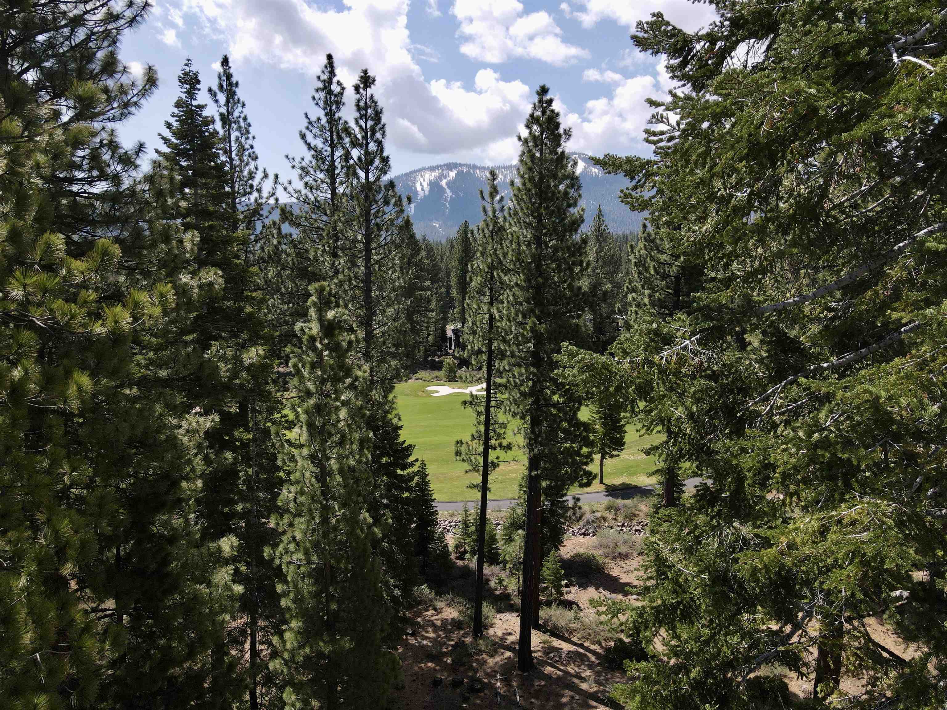 9320 Nine Bark Road Truckee, CA 96161 - Photo 4 of 13 a view of a forest that has a tree