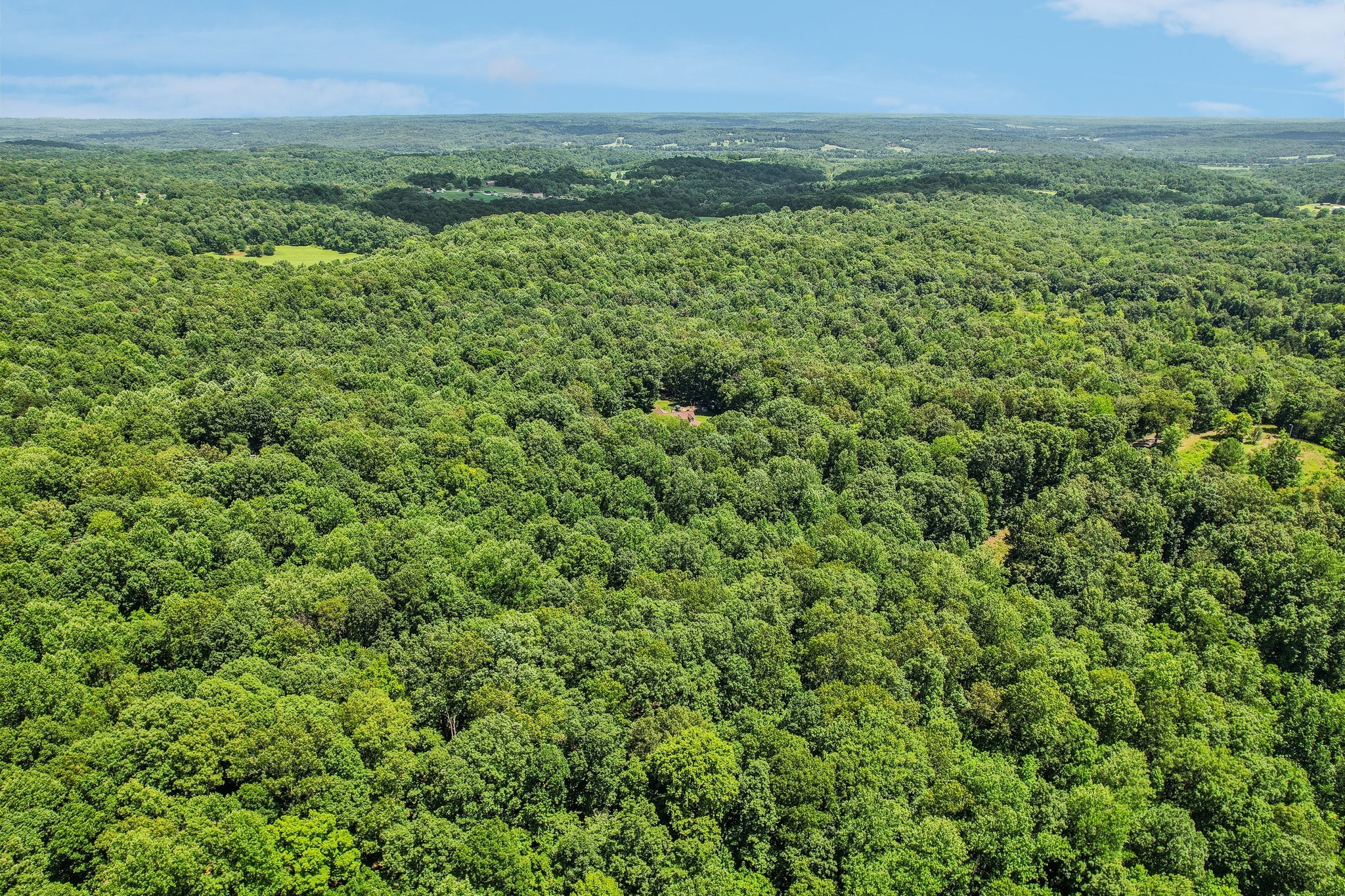 4645 Frankie Road Indian Mound, TN 37079 - Photo 1 of 26 an aerial view of residential houses with outdoor space and trees