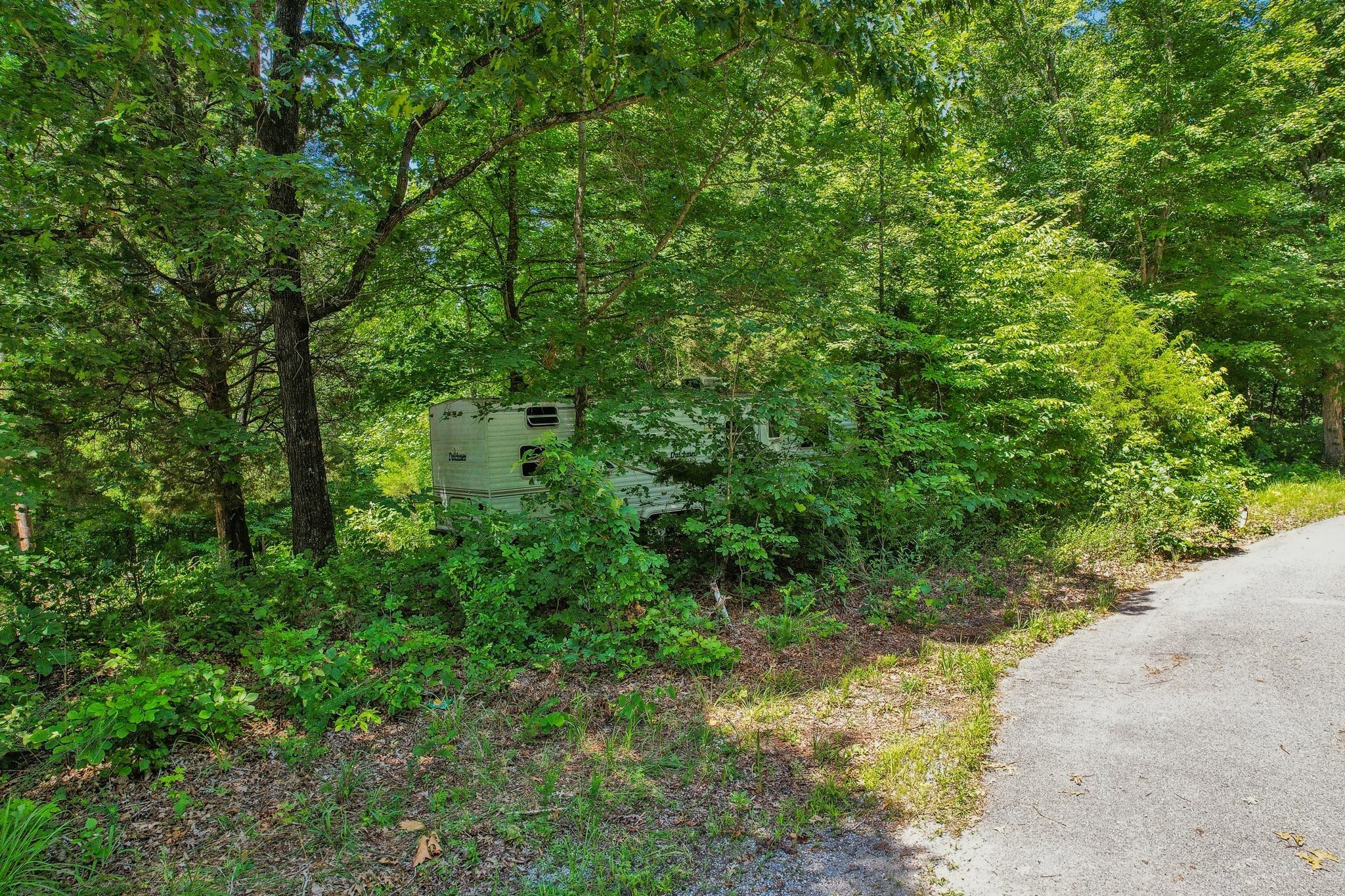 4645 Frankie Road Indian Mound, TN 37079 - Photo 12 of 26 a view of a lush green forest