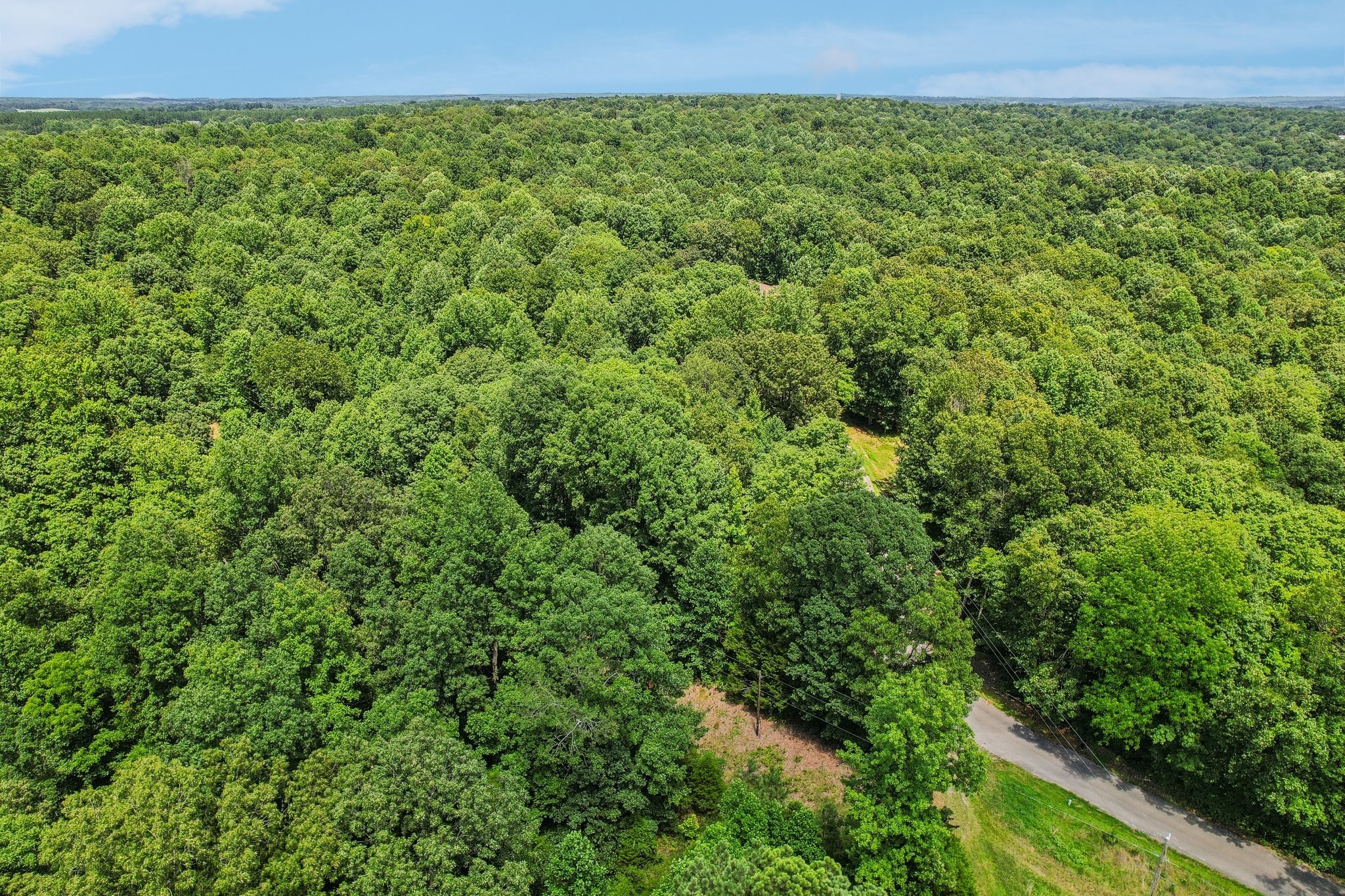 4645 Frankie Road Indian Mound, TN 37079 - Photo 14 of 26 a view of a large yard with lots of green space