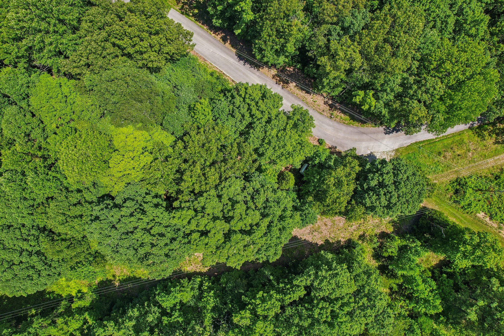 4645 Frankie Road Indian Mound, TN 37079 - Photo 15 of 26 a backyard of a house with lots of green space