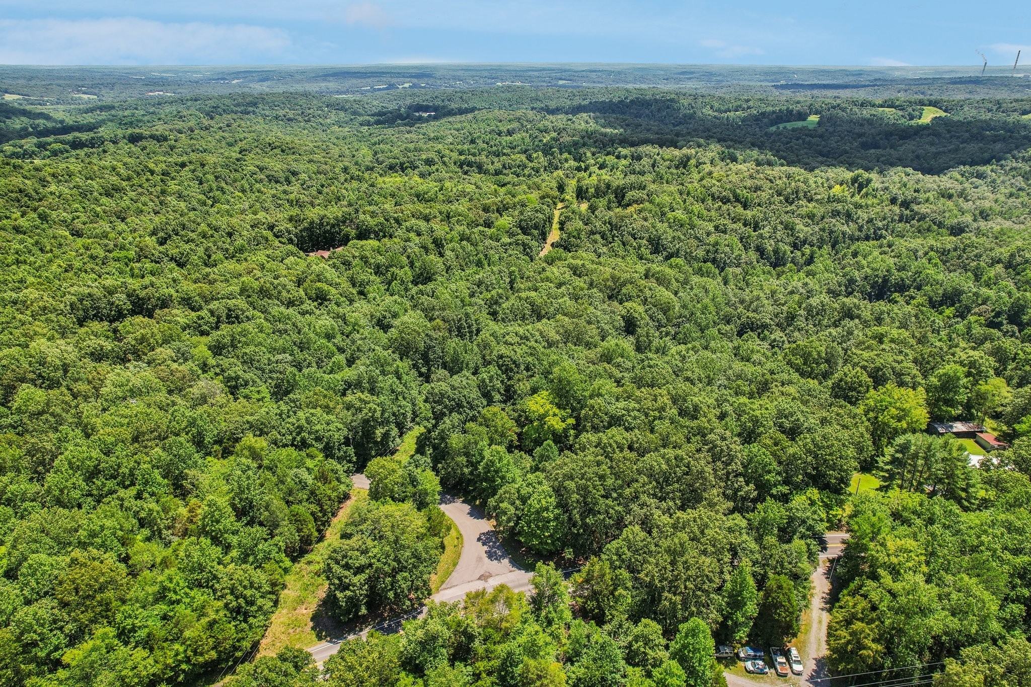 4645 Frankie Road Indian Mound, TN 37079 - Photo 16 of 26 a view of a green field with lots of bushes