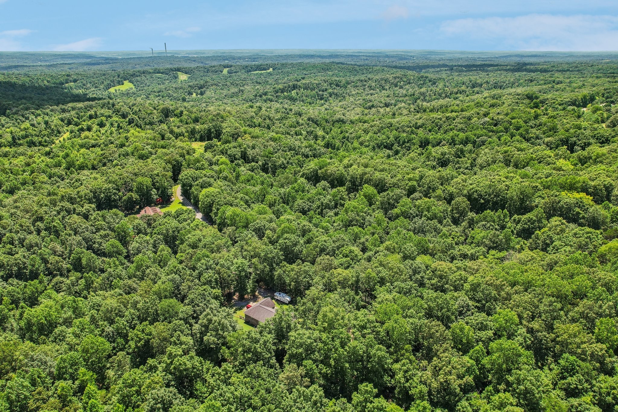 4645 Frankie Road Indian Mound, TN 37079 - Photo 17 of 26 a view of a green field with lots of bushes
