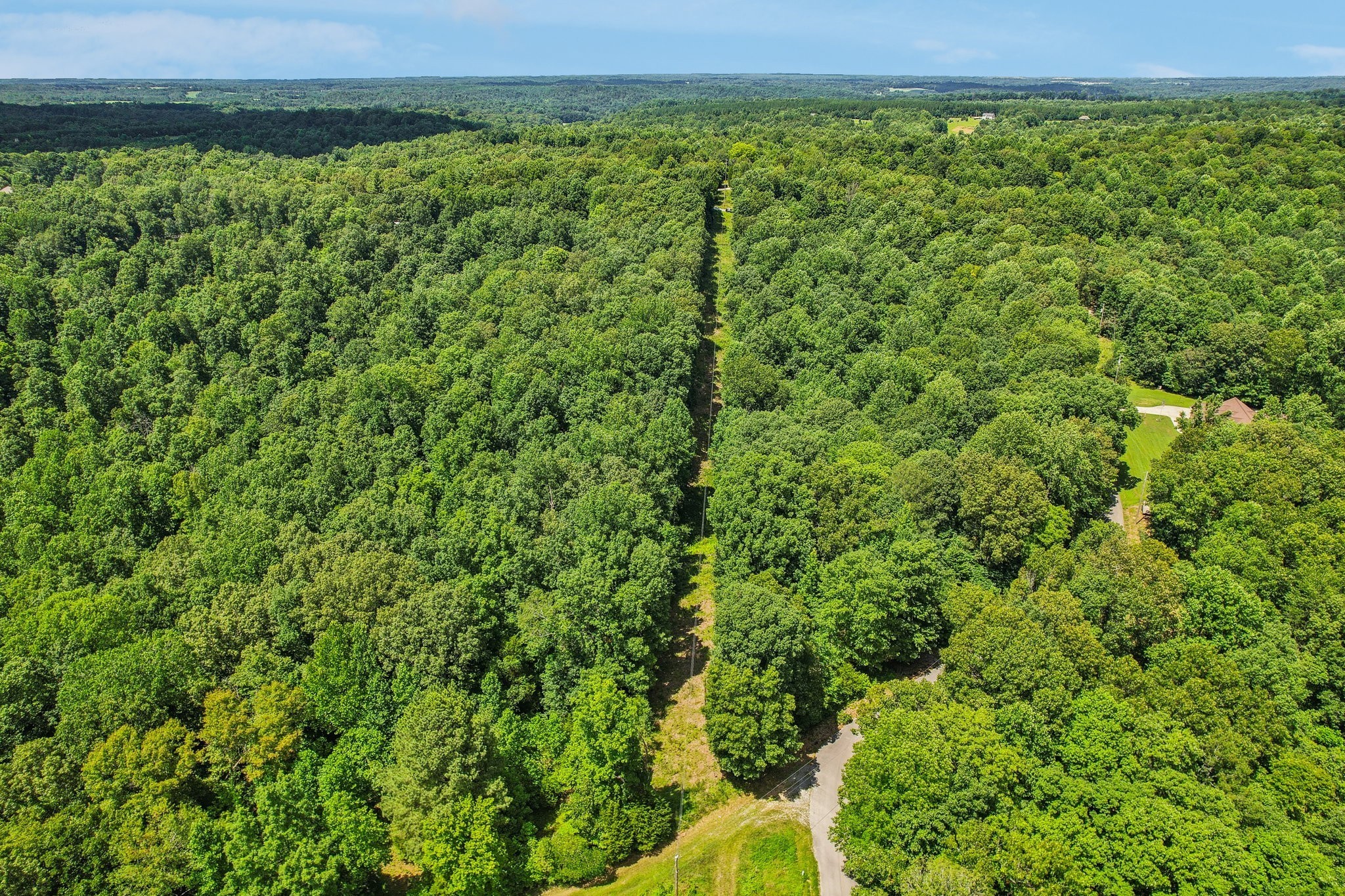 4645 Frankie Road Indian Mound, TN 37079 - Photo 20 of 26 a view of a green field with lots of bushes