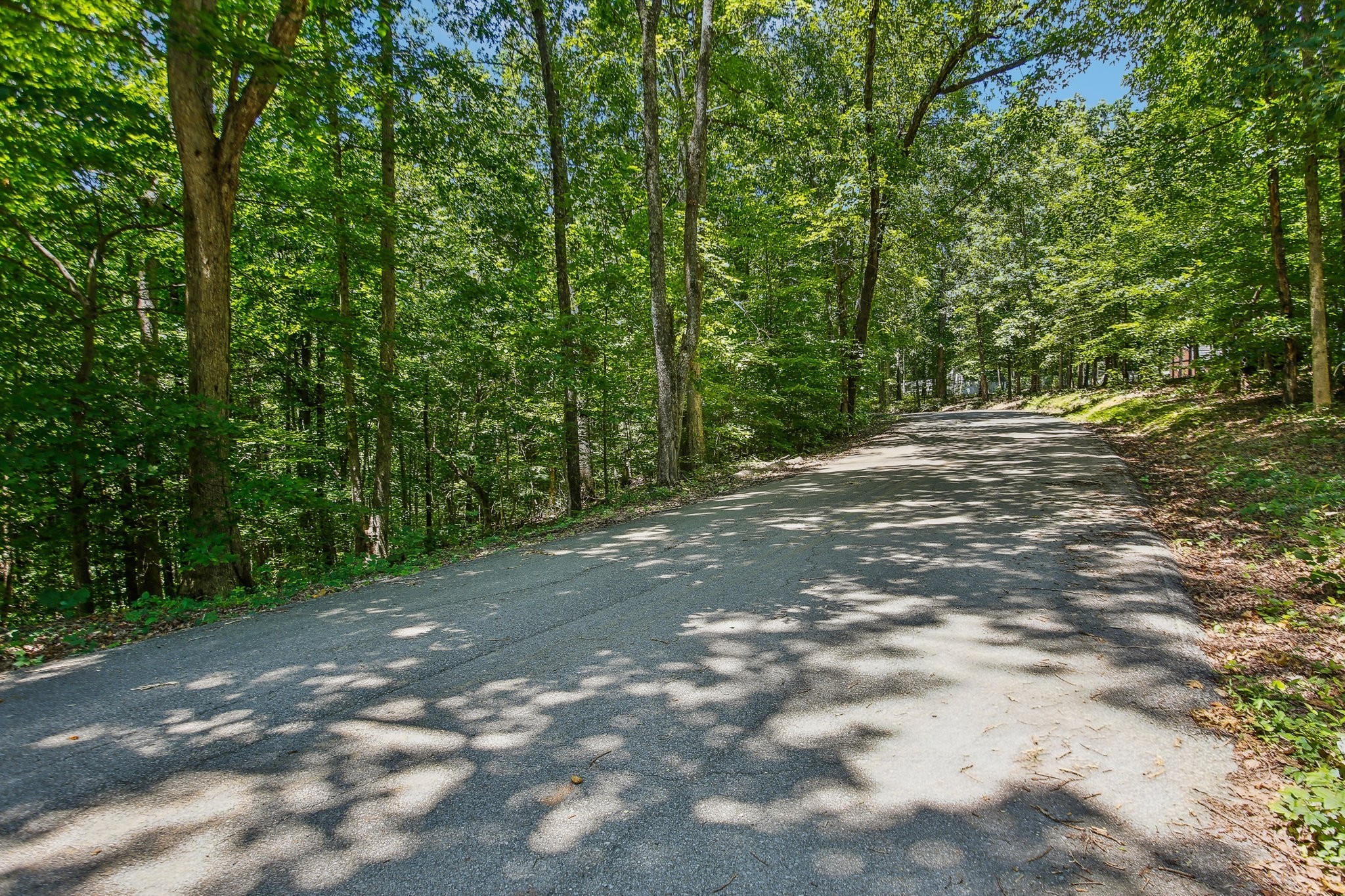 4645 Frankie Road Indian Mound, TN 37079 - Photo 2 of 26 a view of a field with trees in the background