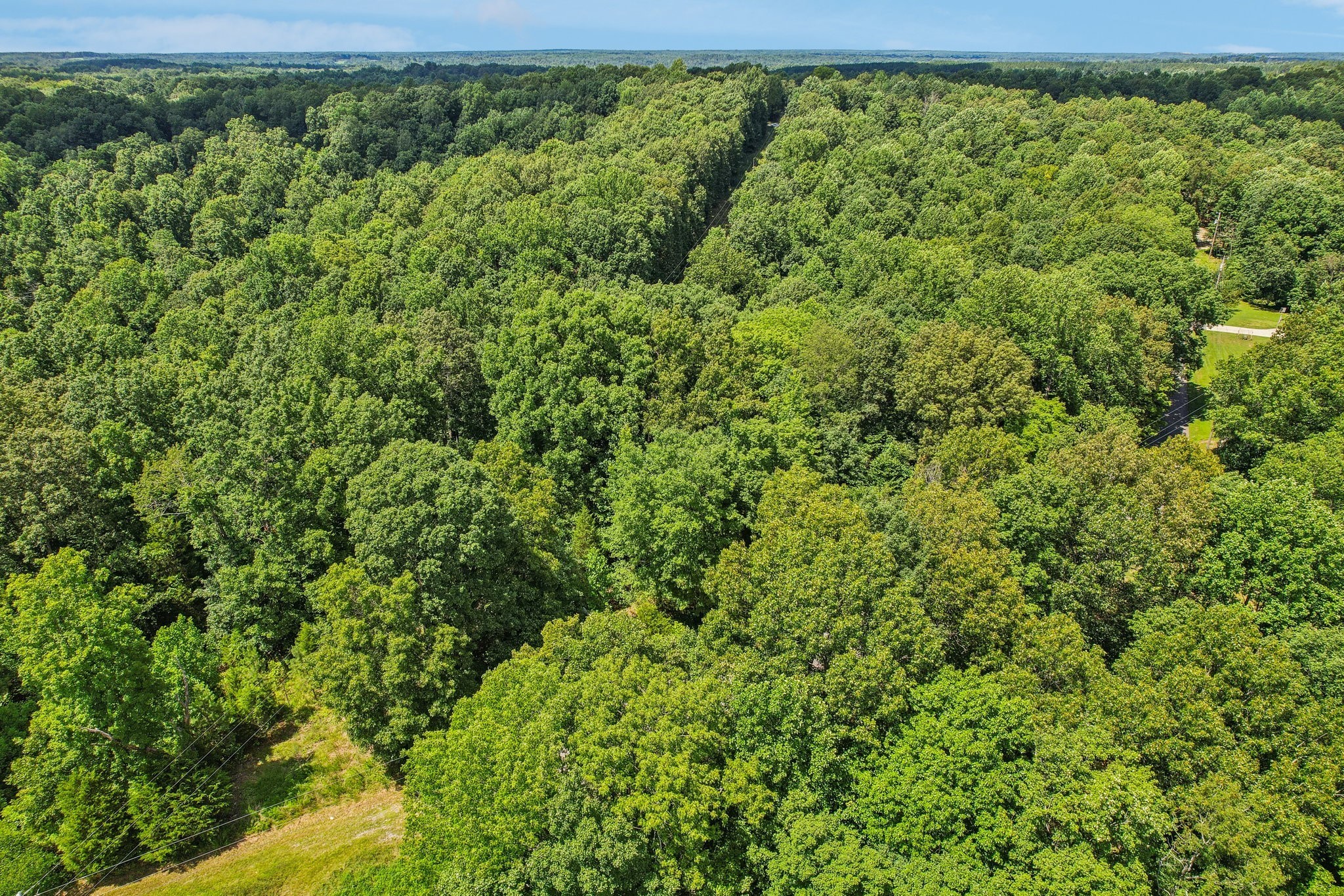 4645 Frankie Road Indian Mound, TN 37079 - Photo 22 of 26 a view of a large yard with lots of green field