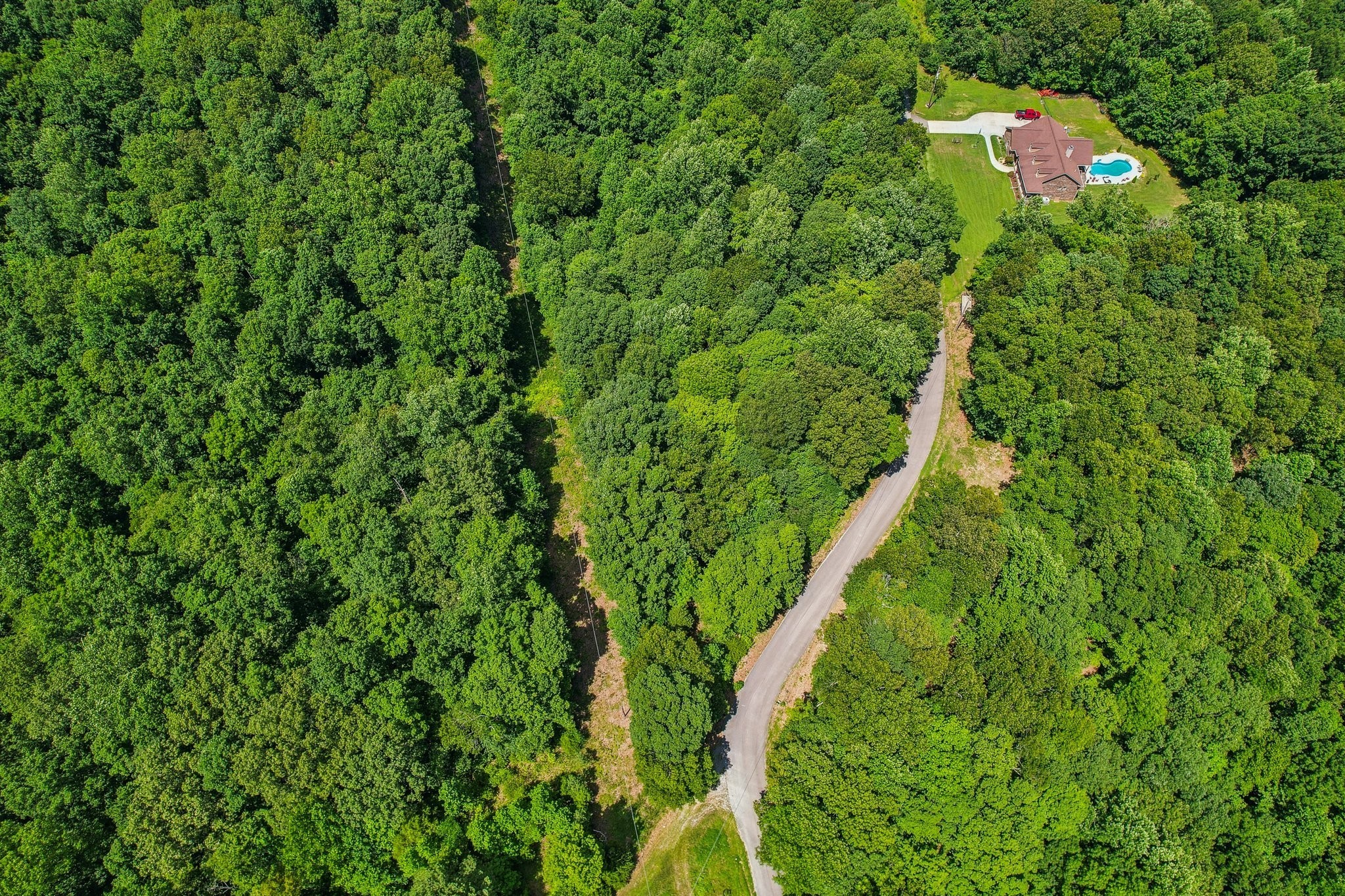 4645 Frankie Road Indian Mound, TN 37079 - Photo 24 of 26 a backyard of a house with a yard and fountain
