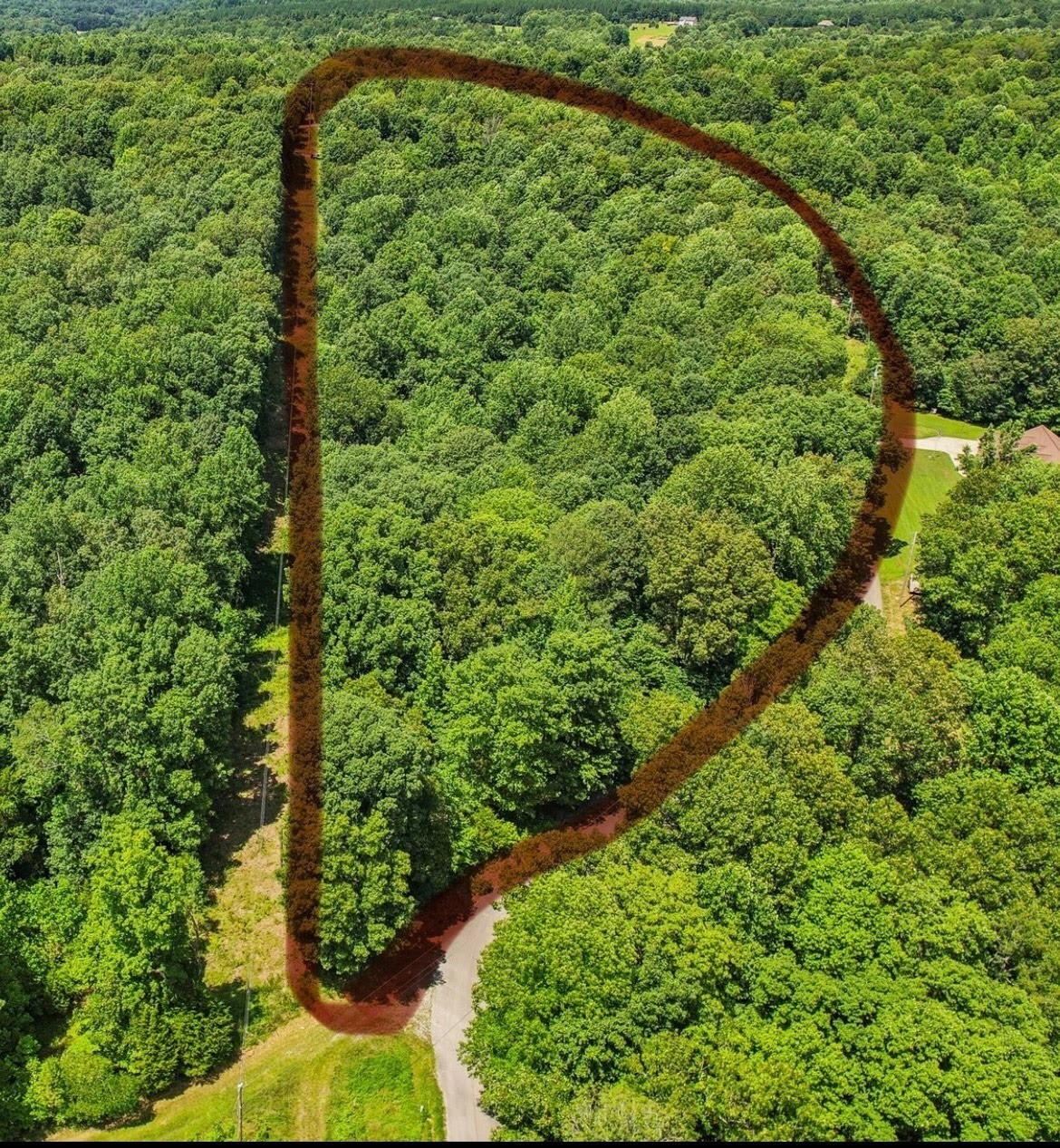 4645 Frankie Road Indian Mound, TN 37079 - Photo 3 of 26 a view of a green yard