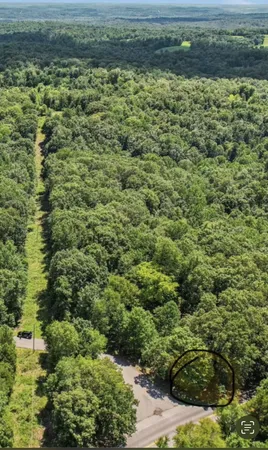 a view of a yard with an outdoor space
