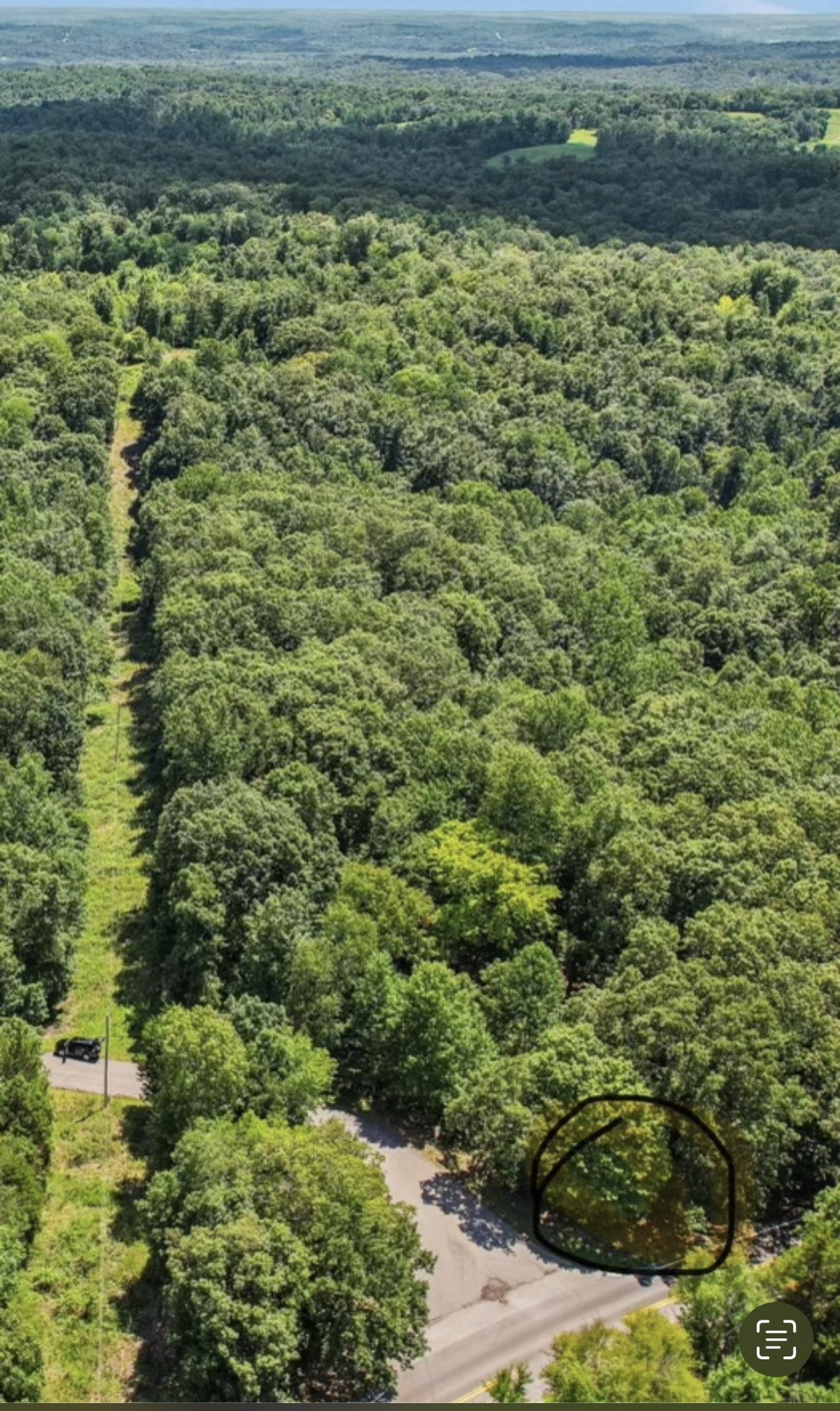4645 Frankie Road Indian Mound, TN 37079 - Photo 6 of 26 a view of a yard with an outdoor space