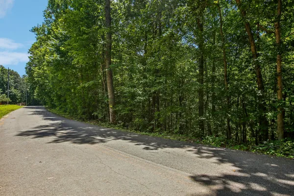 a view of a street with a trees