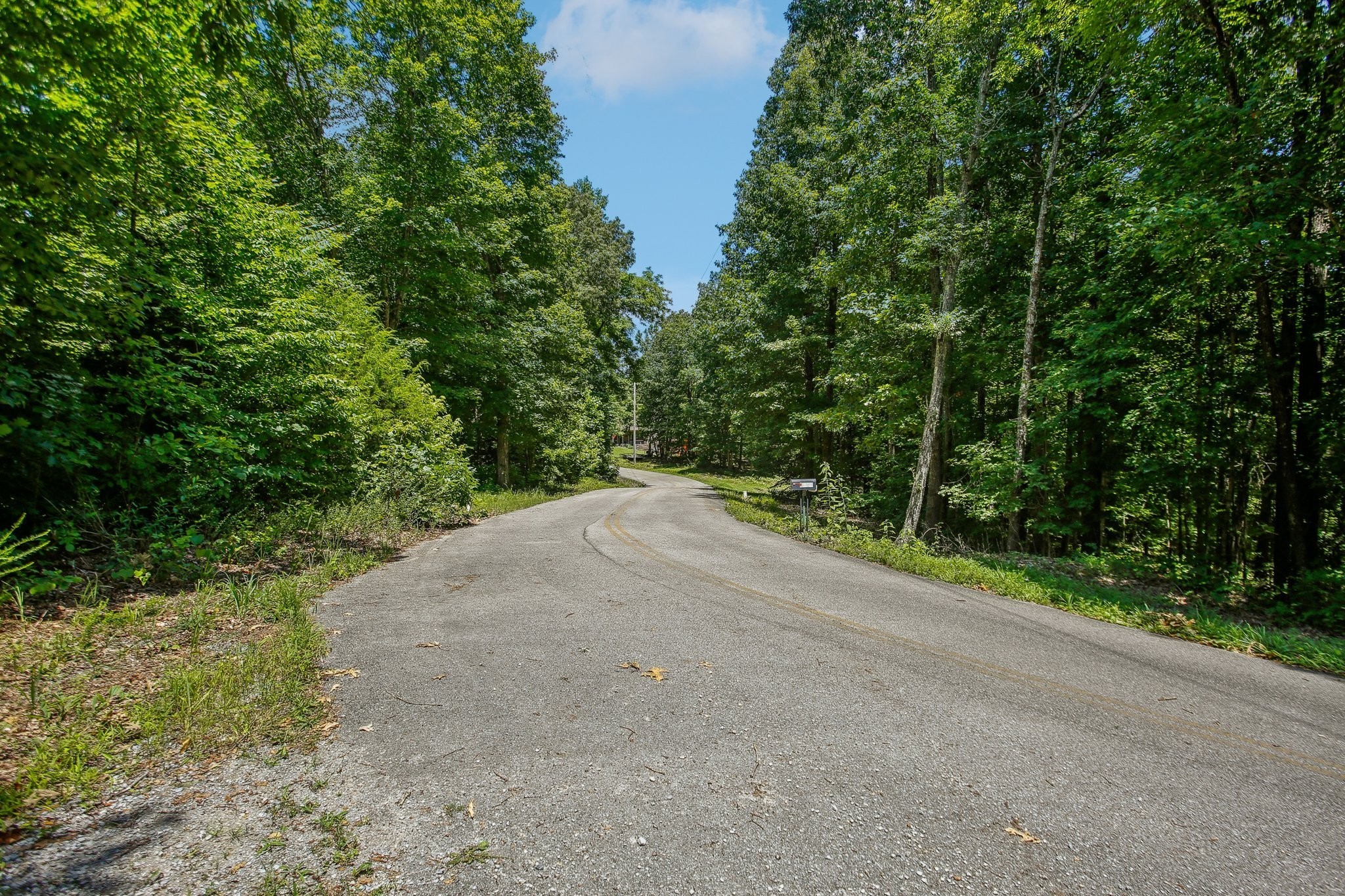 4645 Frankie Road Indian Mound, TN 37079 - Photo 9 of 26 a view of a field with plants and trees in the background