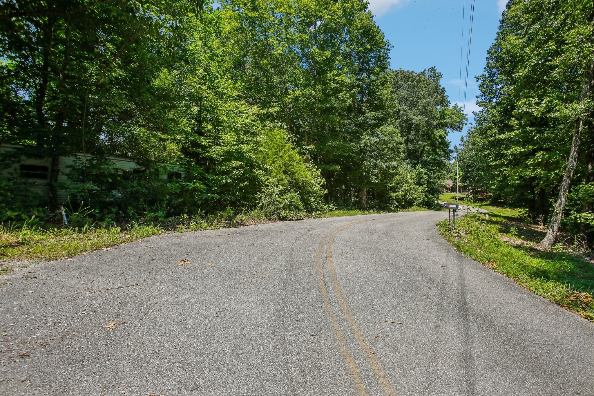 4645 Frankie Road Indian Mound, TN 37079 - Photo 10 of 26 a view of a road with a yard
