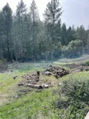 a view of a forest with a sink