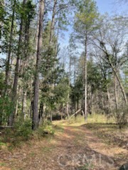 178 Bloomer Hill Road Berry Creek, CA 95916 - Photo 3 of 6 a view of a yard with a tree