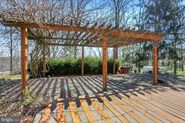 a view of a backyard with tree s