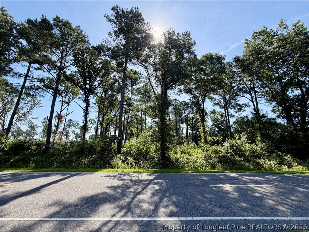 1396 Mercer Mill Road Lumberton, NC 28358 - Photo 2 of 4