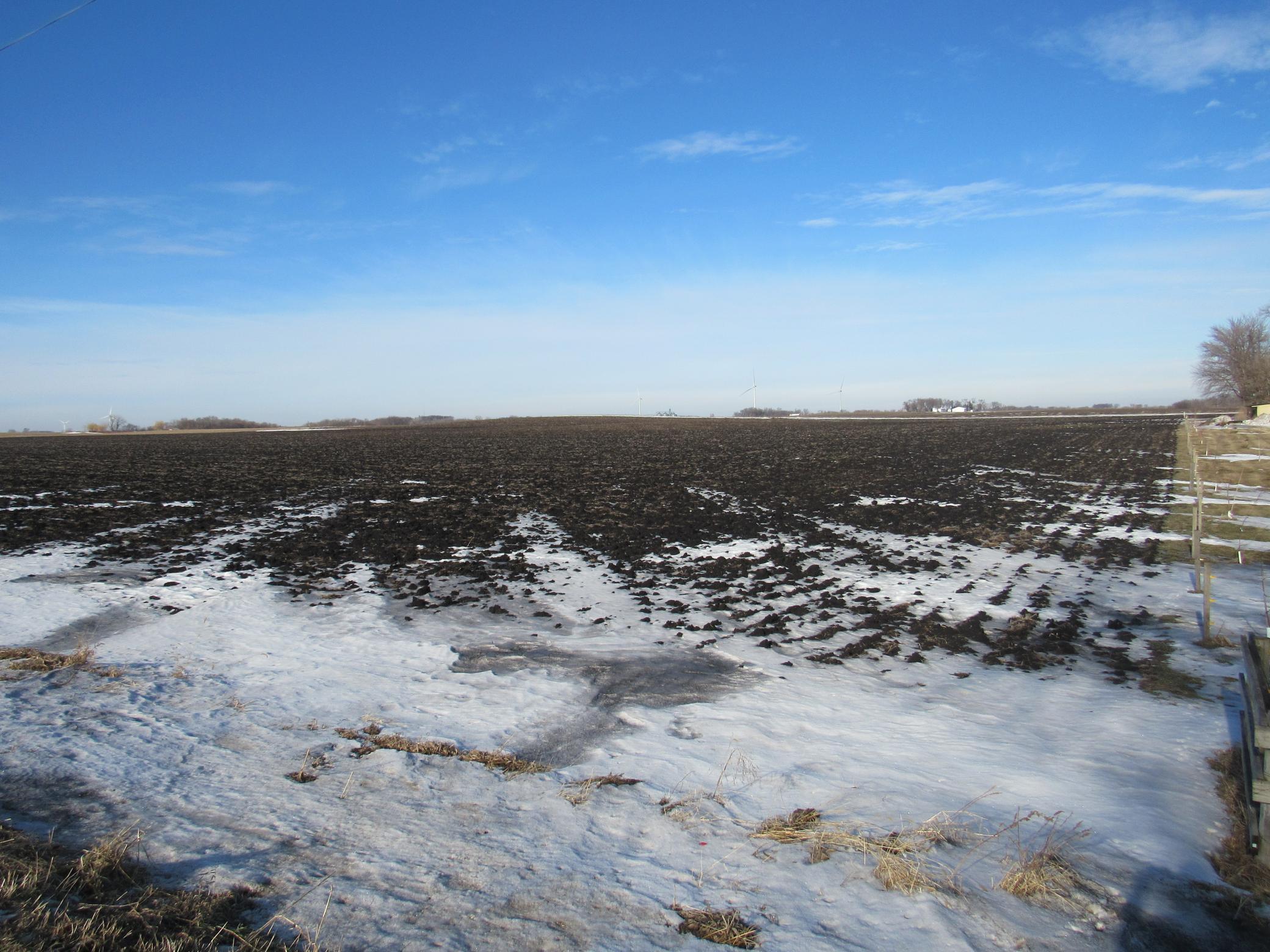 35675 96th Street Blue Earth, MN 56013 - Photo 4 of 7