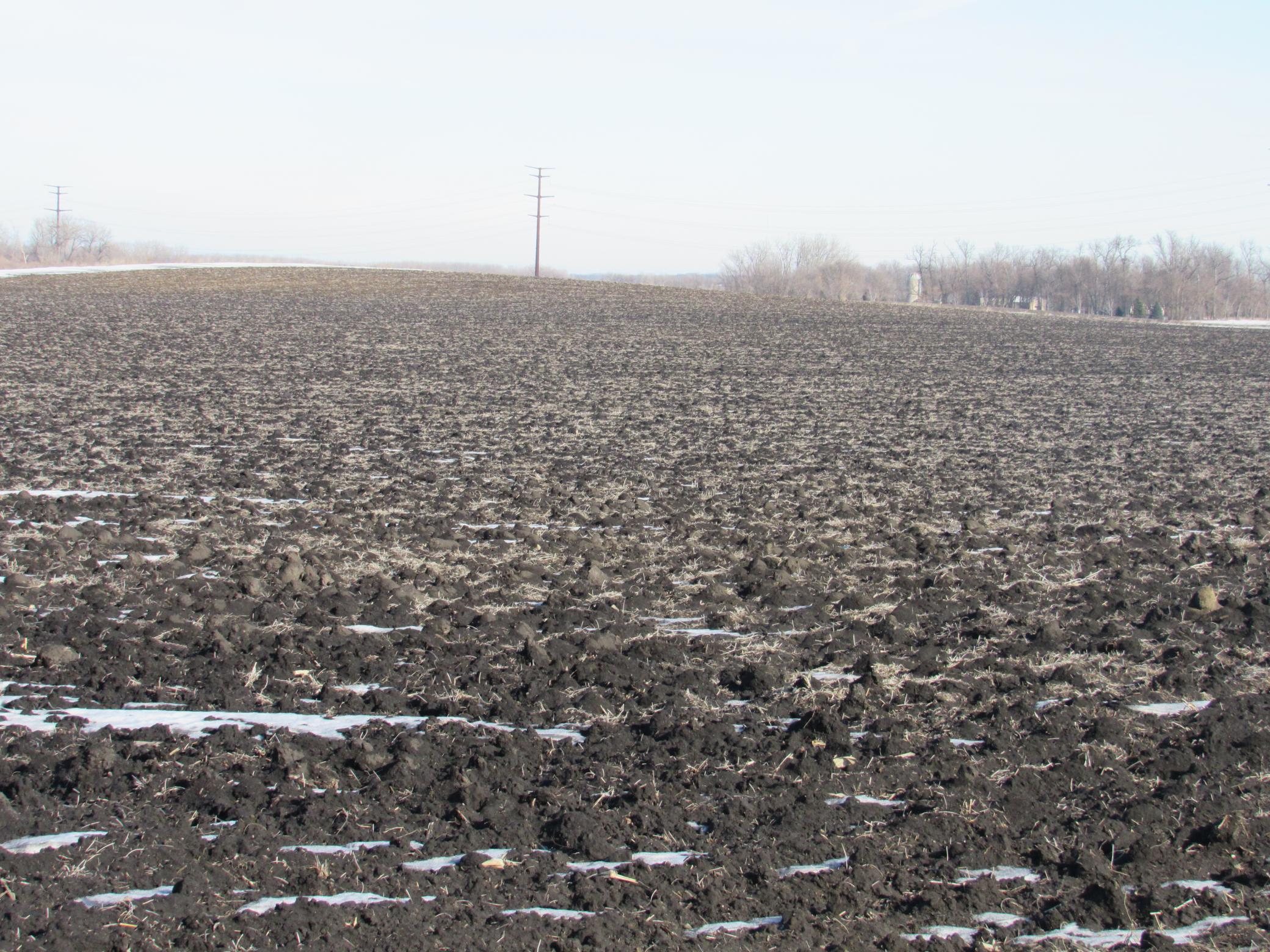 35675 96th Street Blue Earth, MN 56013 - Photo 5 of 7