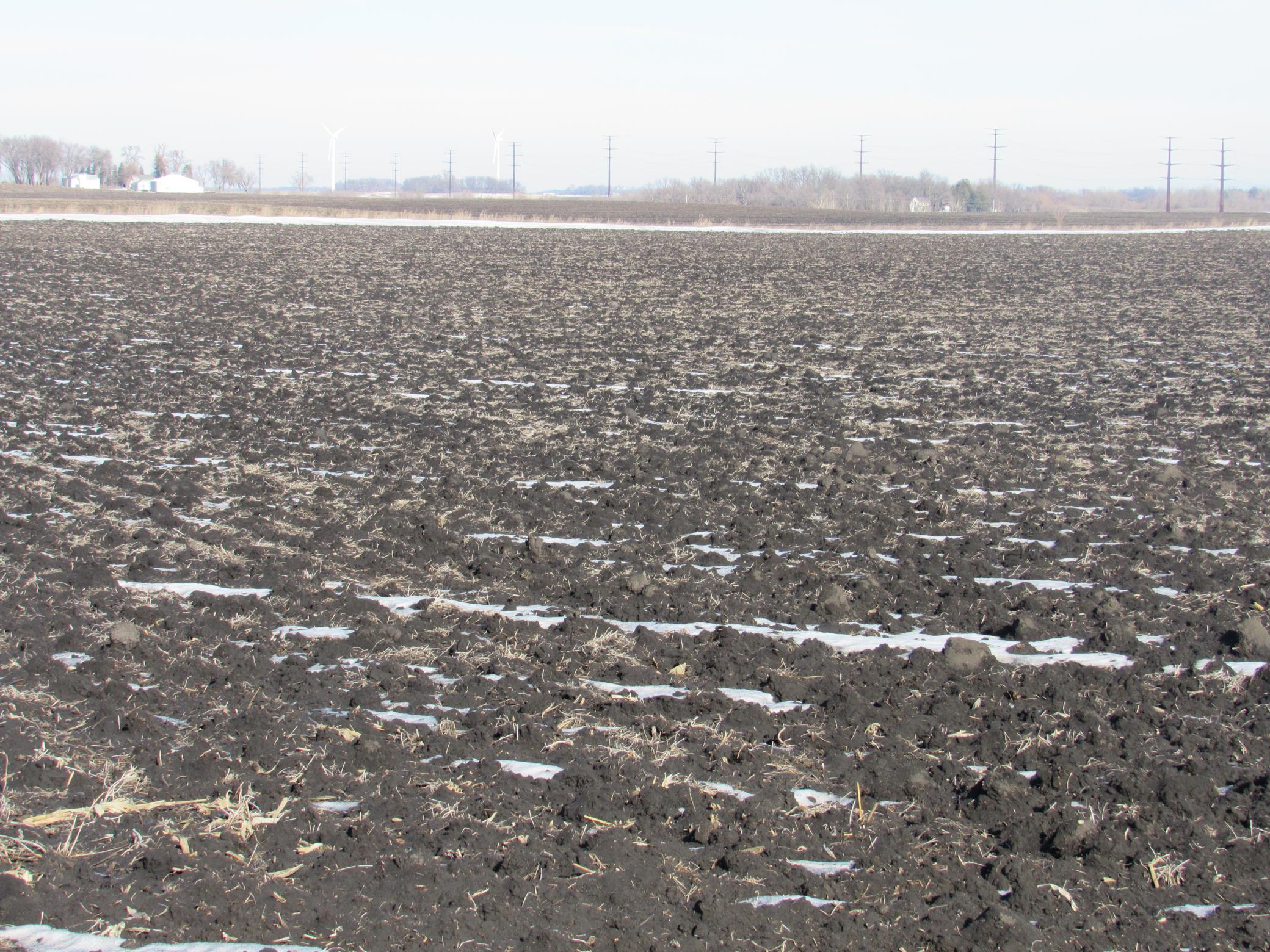 35675 96th Street Blue Earth, MN 56013 - Photo 6 of 7