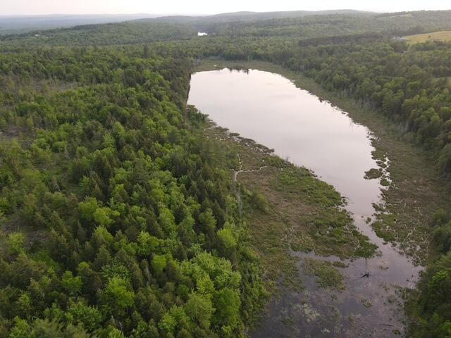Lot 12 Parker Pond Road Sebec, ME 04481 - Photo 25 of 31 dji_fly_20250604_190956_472_175200585590