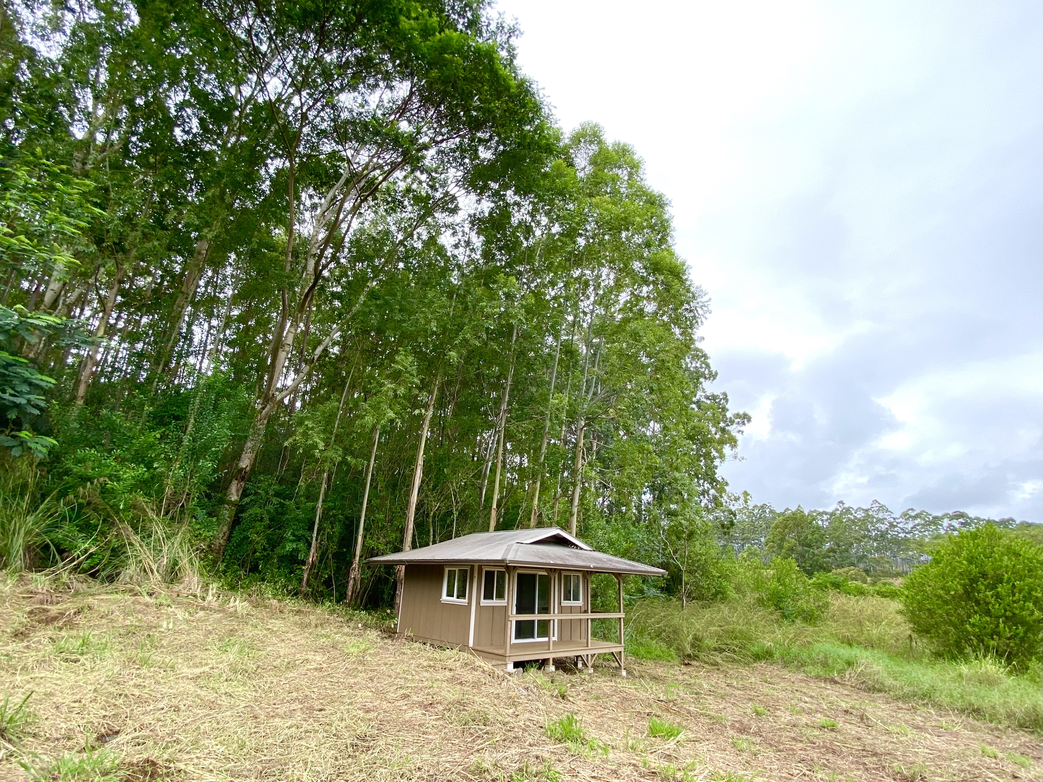 28-668 Kaupakuea Homestead Road Pepeekeo, HI 96783 - Photo 11 of 15 a yard with tall trees