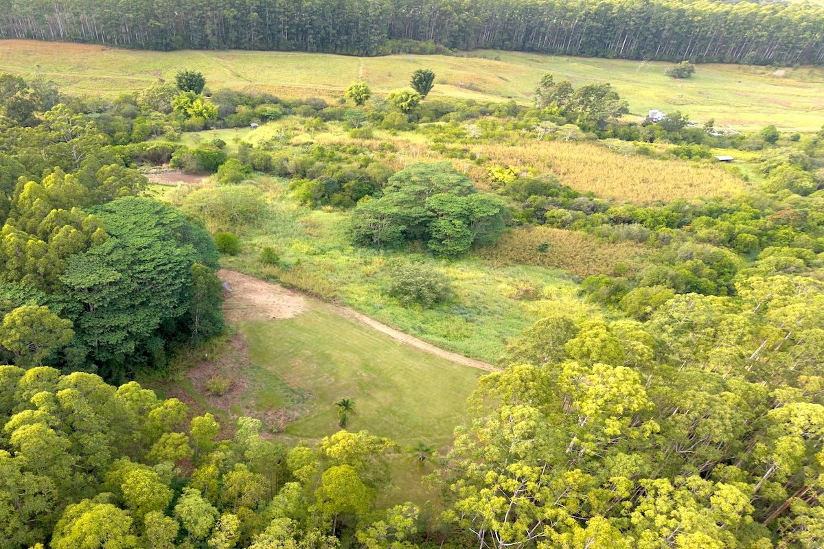 28-668 Kaupakuea Homestead Road Pepeekeo, HI 96783 - Photo 13 of 15 a view of a lake view with beach
