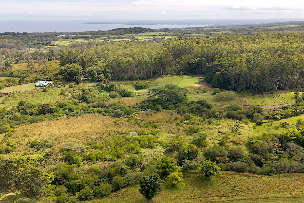 28-668 Kaupakuea Homestead Road Pepeekeo, HI 96783 - Photo 14 of 15 a view of lake view and mountain view