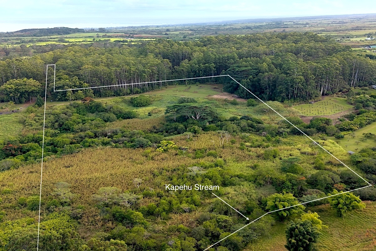 28-668 Kaupakuea Homestead Road Pepeekeo, HI 96783 - Photo 4 of 15 a view of a field