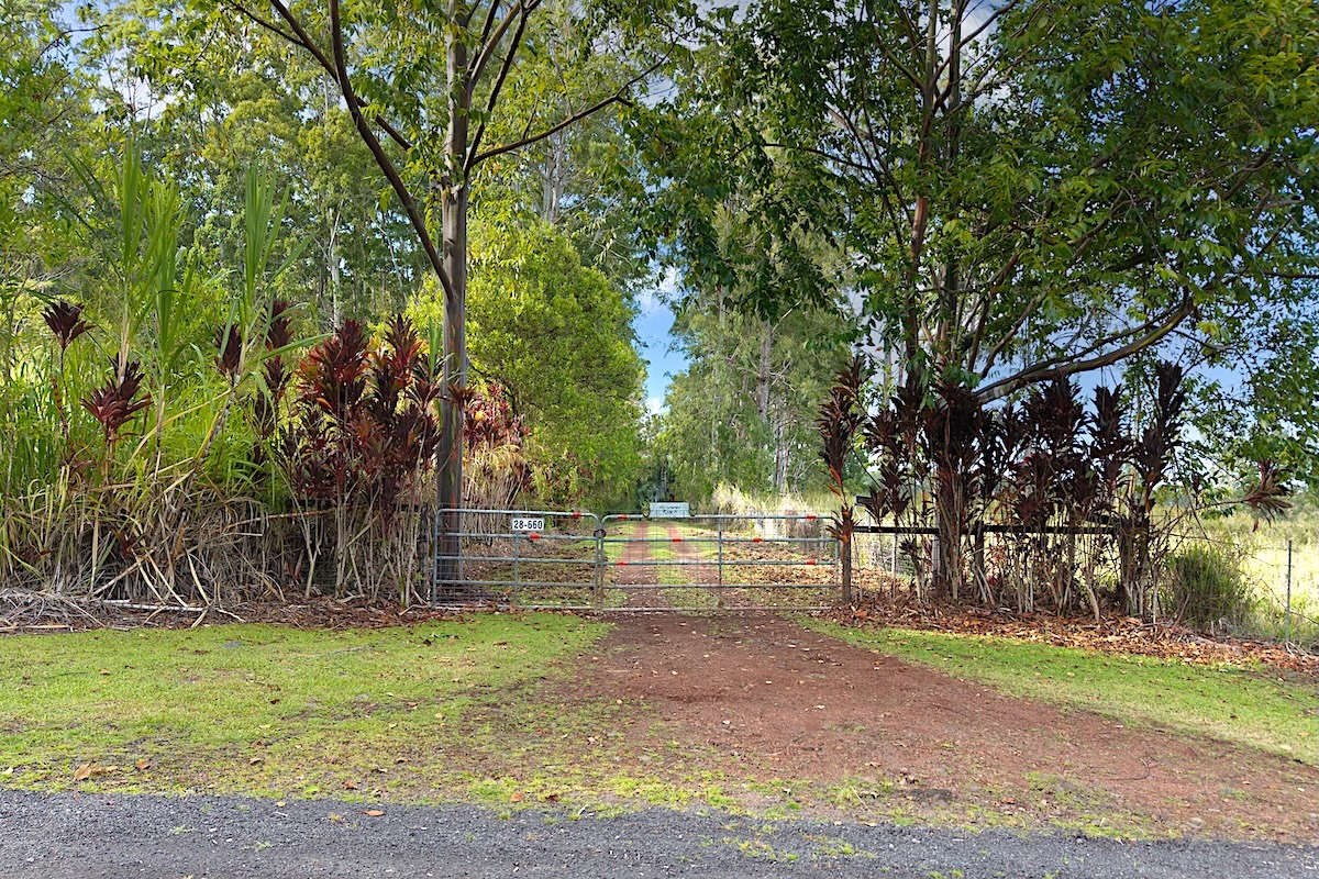 28-668 Kaupakuea Homestead Road Pepeekeo, HI 96783 - Photo 8 of 15 a view of backyard with green space