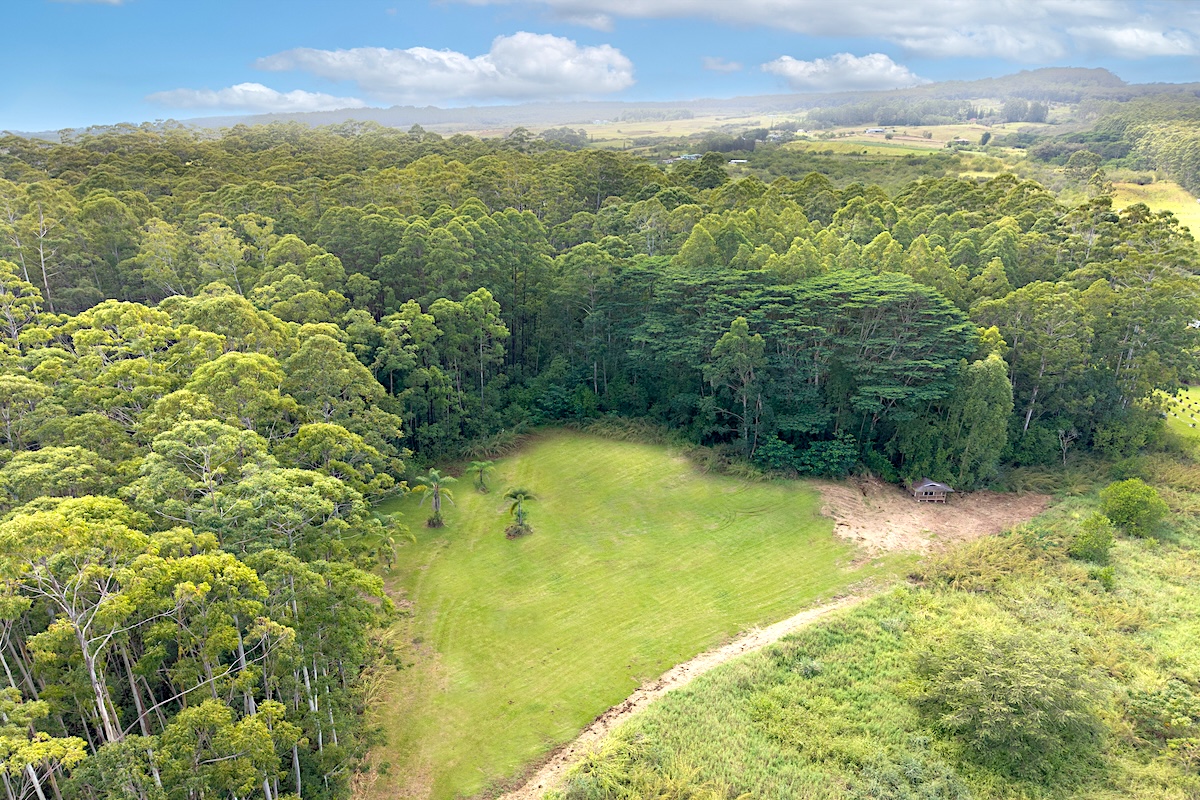 28-668 Kaupakuea Homestead Road Pepeekeo, HI 96783 - Photo 10 of 15