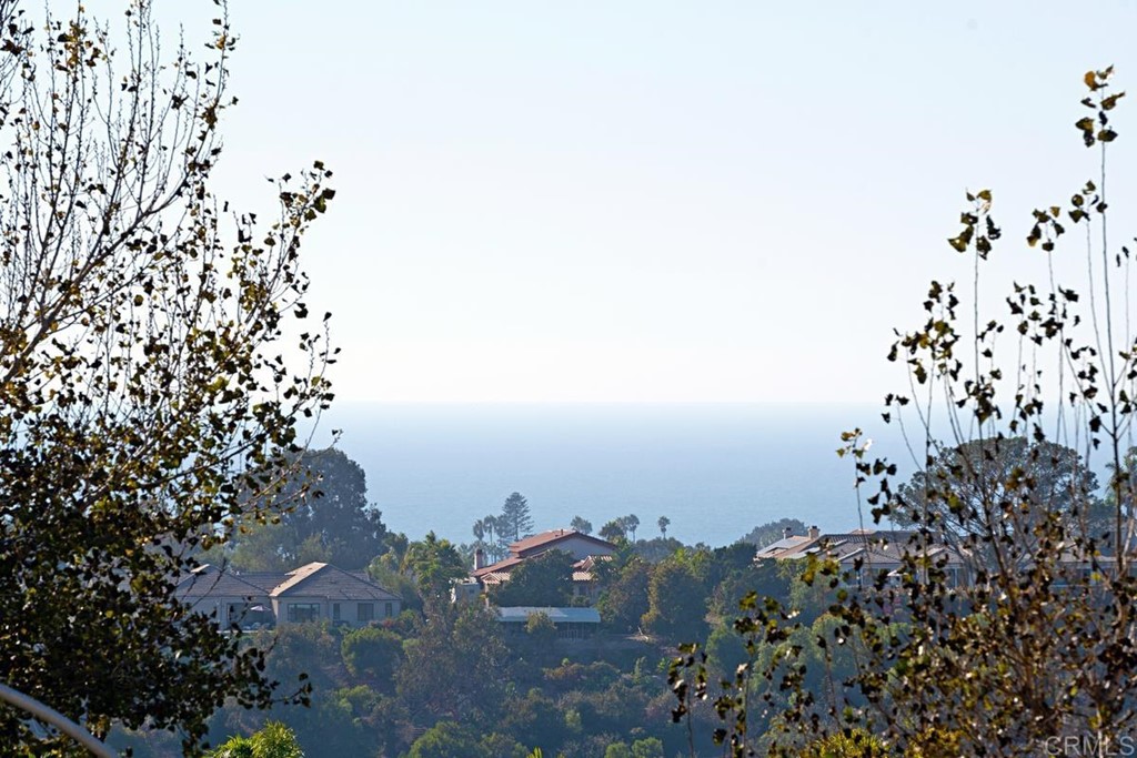 1445 Ranch Road Encinitas, CA 92024 - Photo 2 of 22