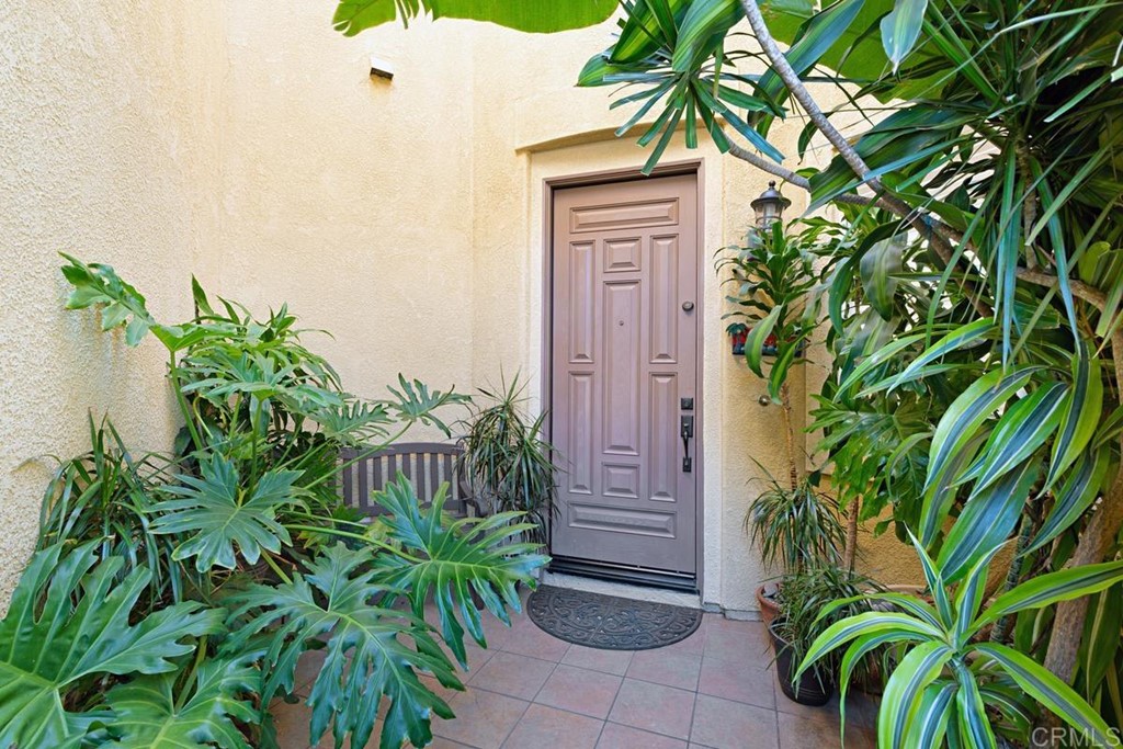 1445 Ranch Road Encinitas, CA 92024 - Photo 5 of 22 a plant that is in front of a house