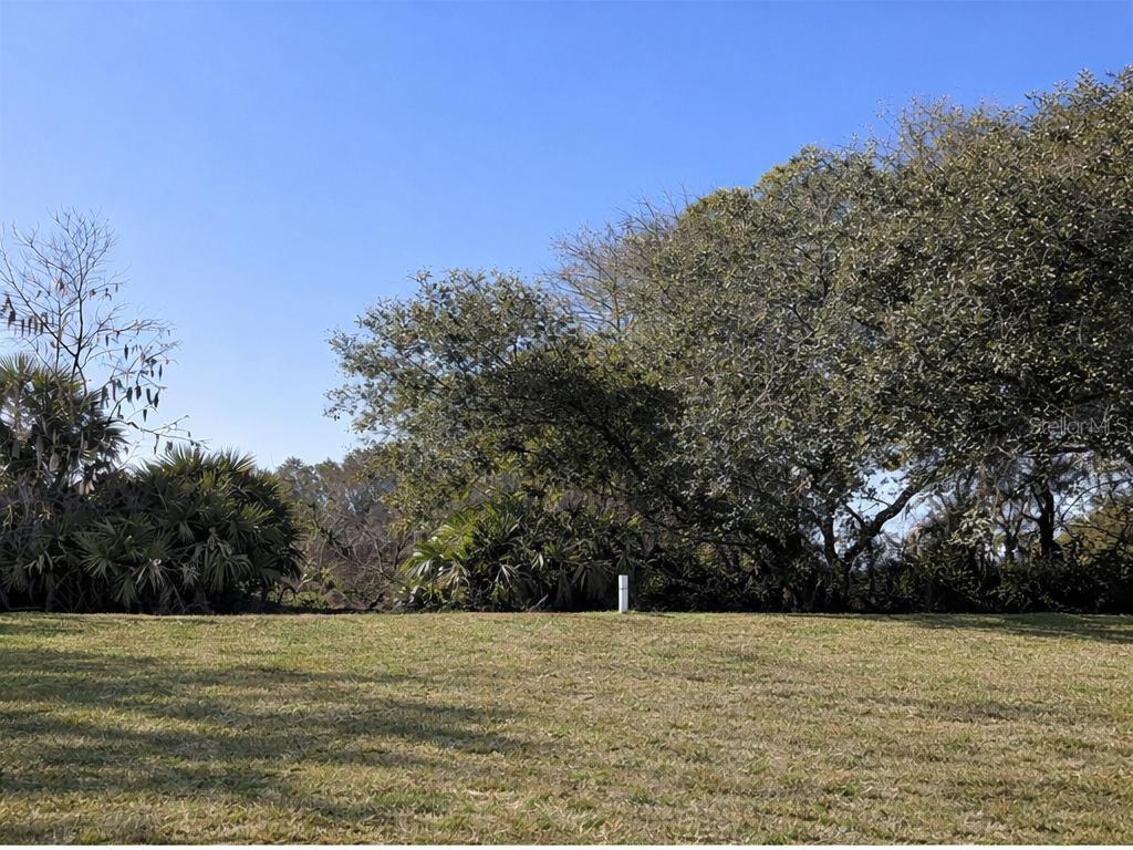 15296 Southwest 15th Terrace Road Ocala, FL 34473 - Photo 3 of 15 a view of big yard with large trees