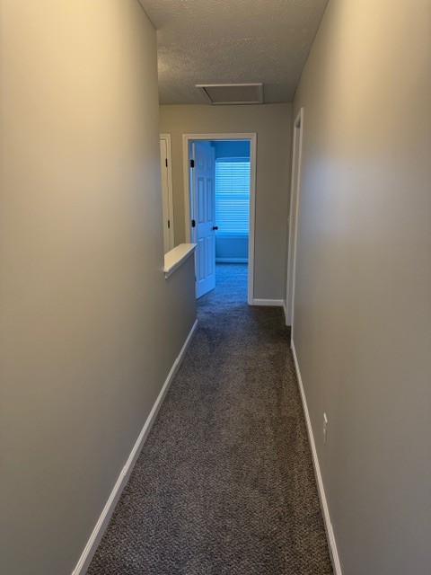 1110 Ransom Way Nashville, TN 37217 - Photo 25 of 26 a view of hallway with closet