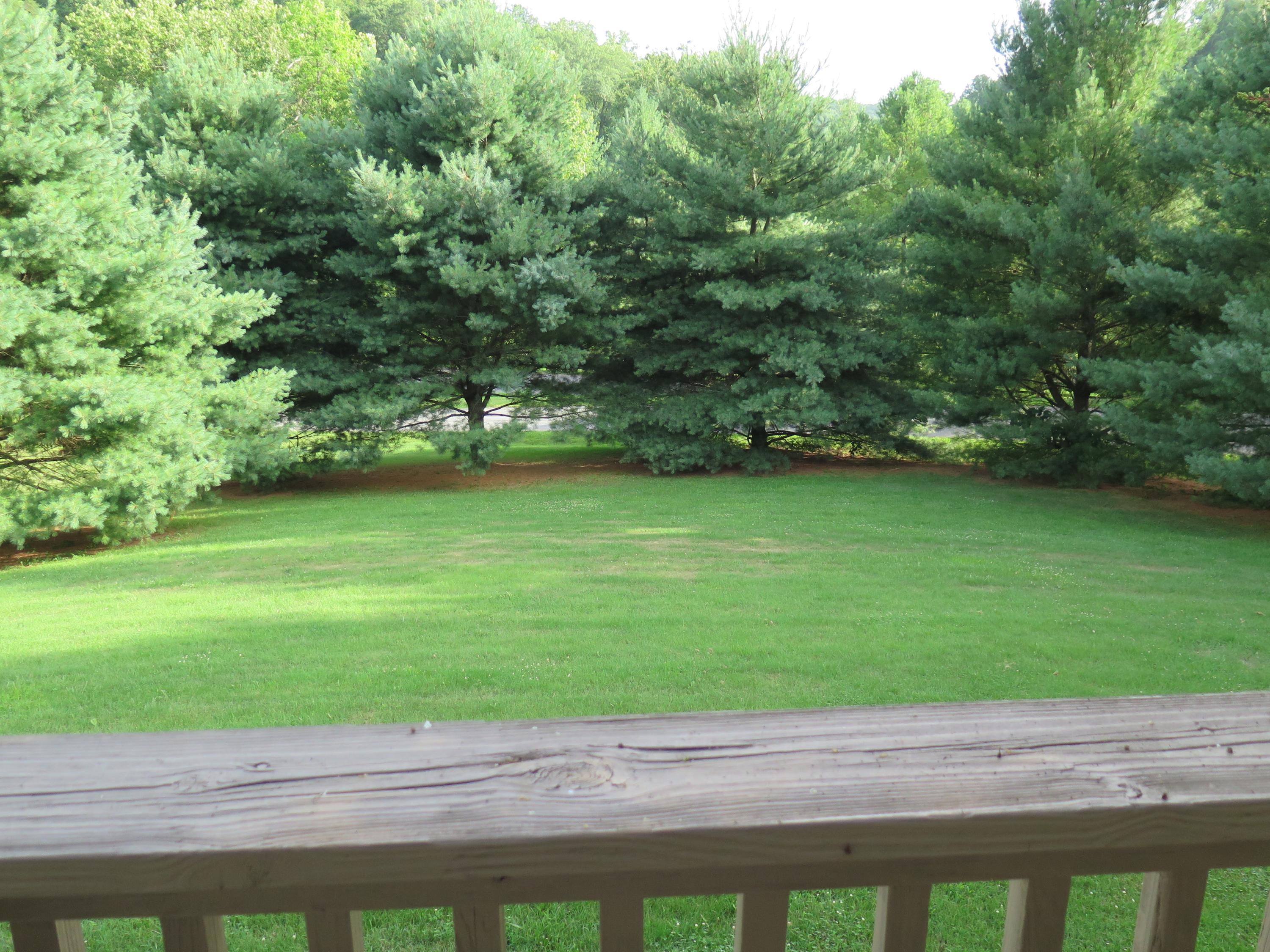 62 Mountain View Road Troutville, VA 24175 - Photo 40 of 49 62MtnView - 46