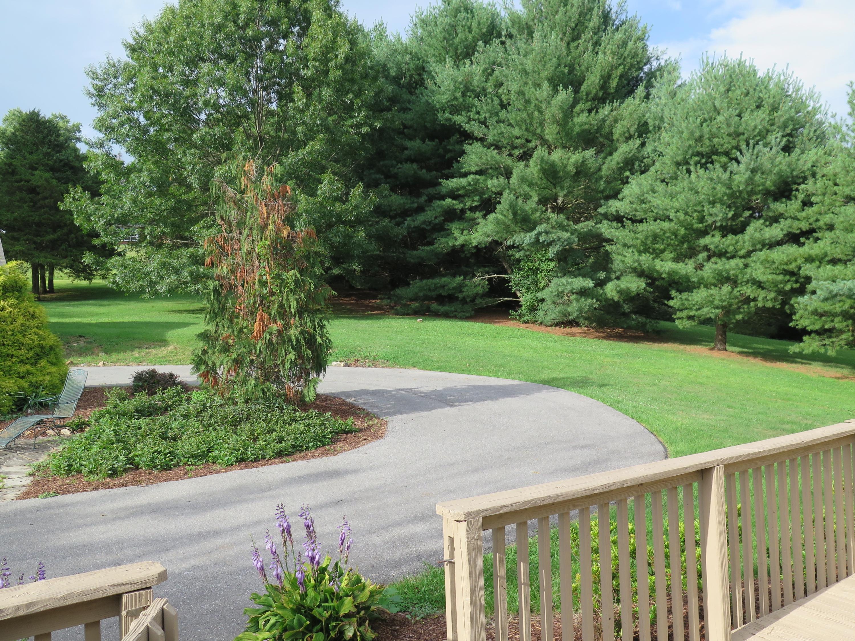 62 Mountain View Road Troutville, VA 24175 - Photo 45 of 49 62MtnView - 8