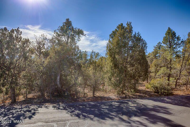 4441 Shaggy Bark Road Show Low, AZ 85901 - Photo 3 of 4
