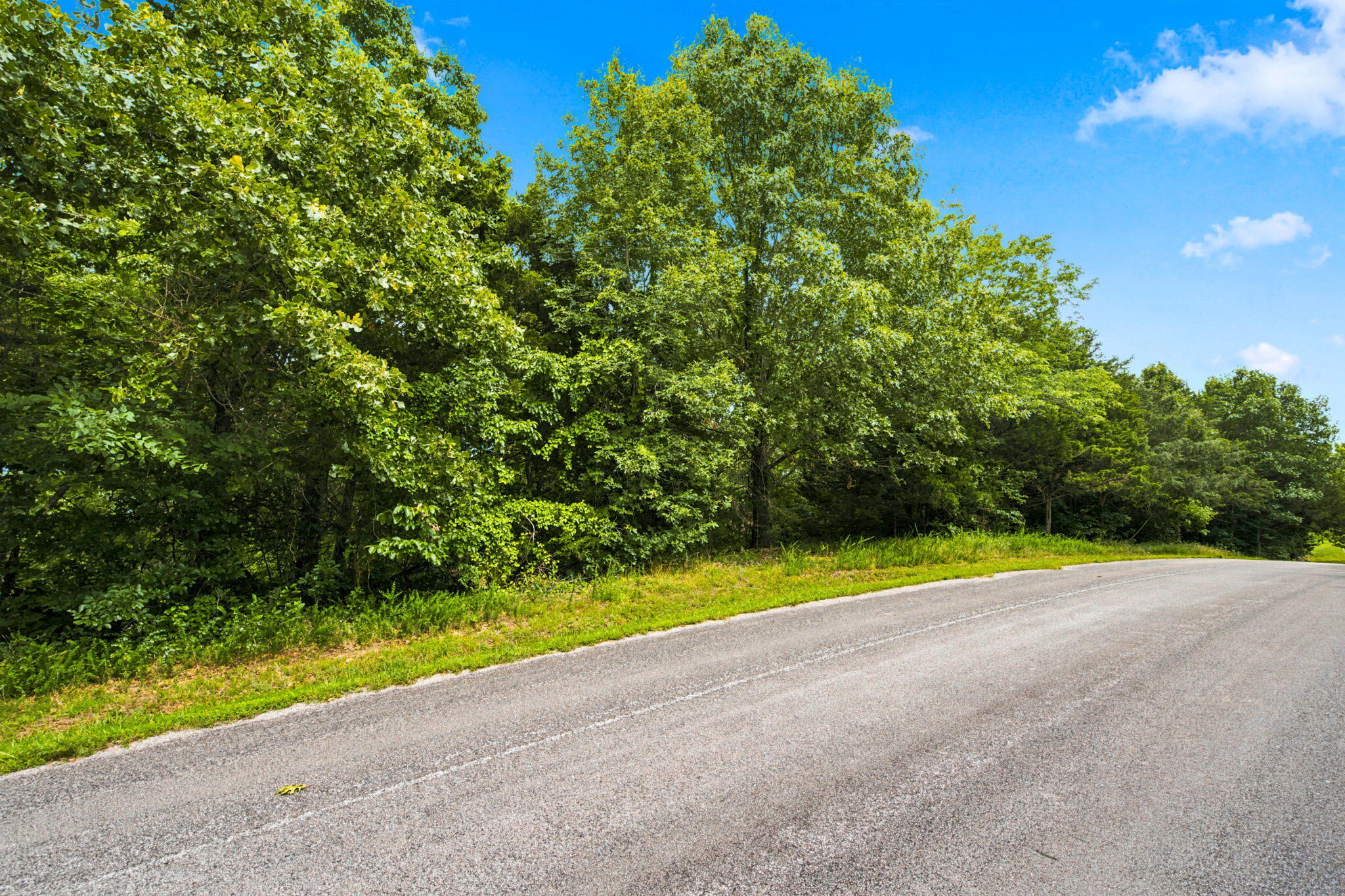 Lot 12 Kingsgate Road Lampe, MO 65681 - Photo 20 of 33 3-web-or-mls-DSC05792