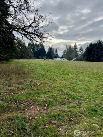 a view of a field with an trees