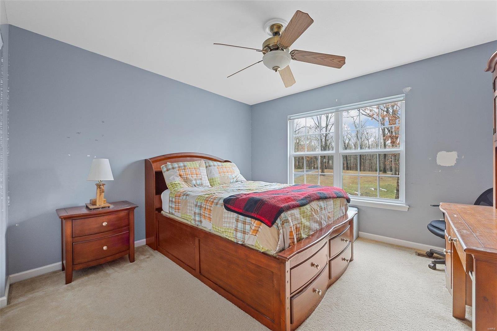 191 Timber Pines Drive Defiance, MO 63341 - Photo 33 of 46