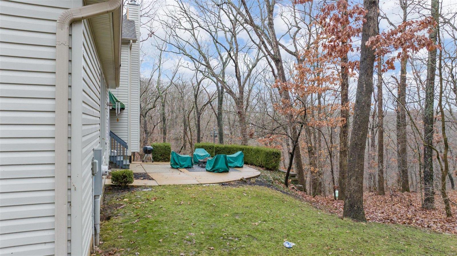 191 Timber Pines Drive Defiance, MO 63341 - Photo 44 of 46