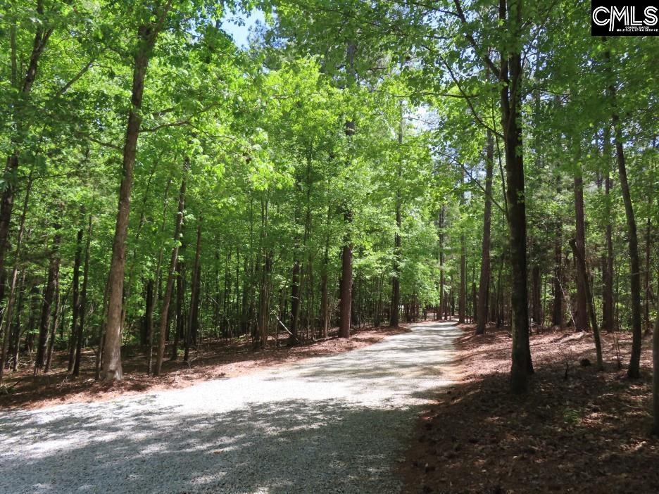 201 State Rd S-20-99 Blair, SC 29015 - Photo 32 of 61