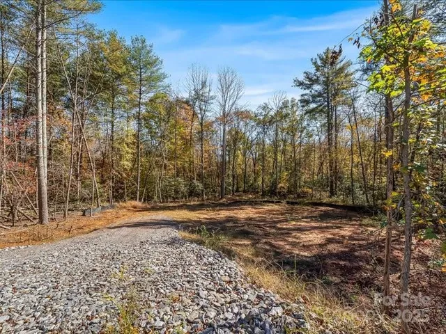 a view of a backyard of a house