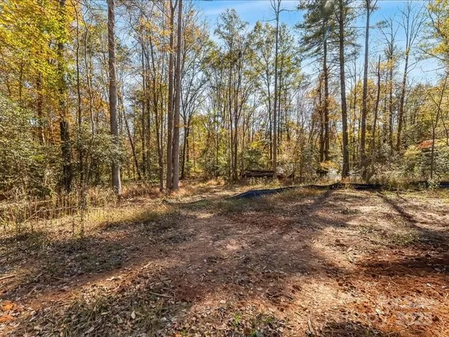 a view of outdoor space with trees