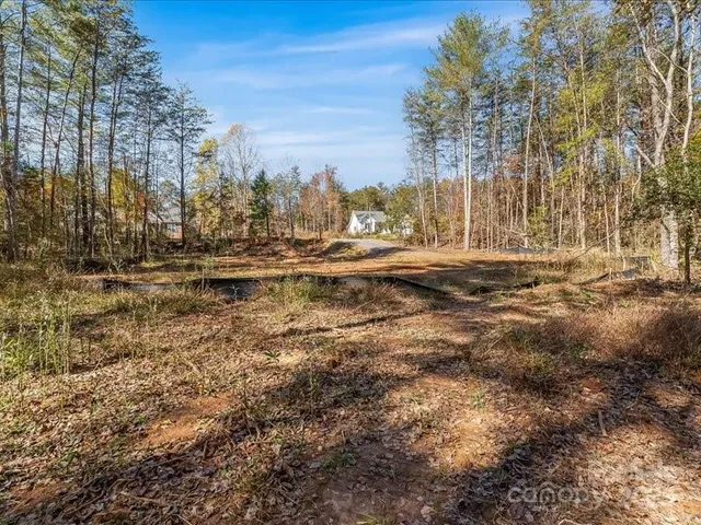 a view of a yard with large trees