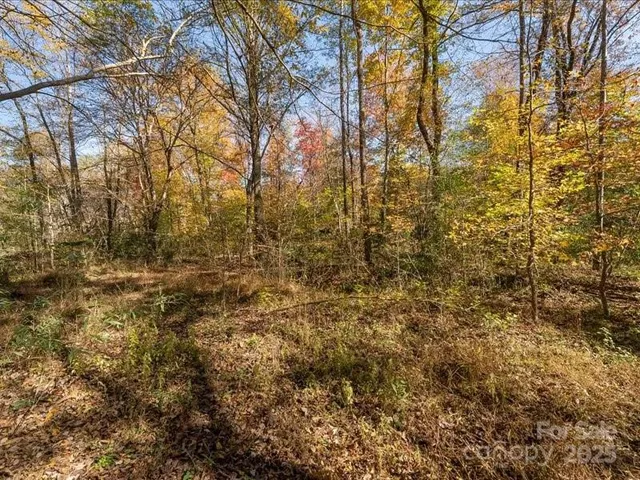 a view of natural light