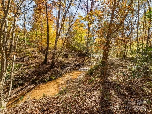 a view of a yard with a trees